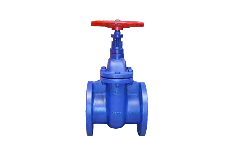 Wedge gate valve A+Z45T/W-10/16